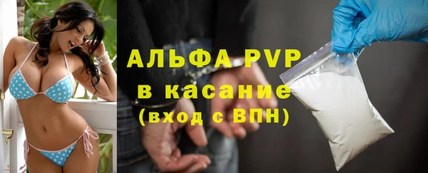 PSILOCYBIN Бородино