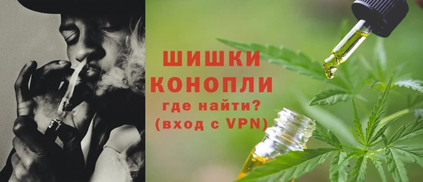 PSILOCYBIN Бородино
