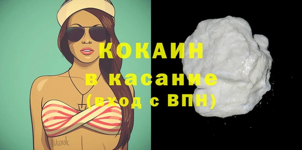 PSILOCYBIN Бородино