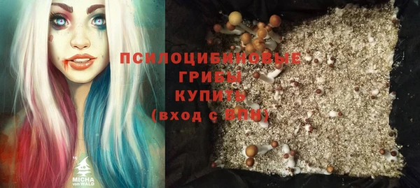 PSILOCYBIN Бородино