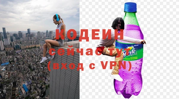 PSILOCYBIN Бородино