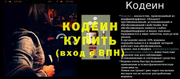 PSILOCYBIN Бородино